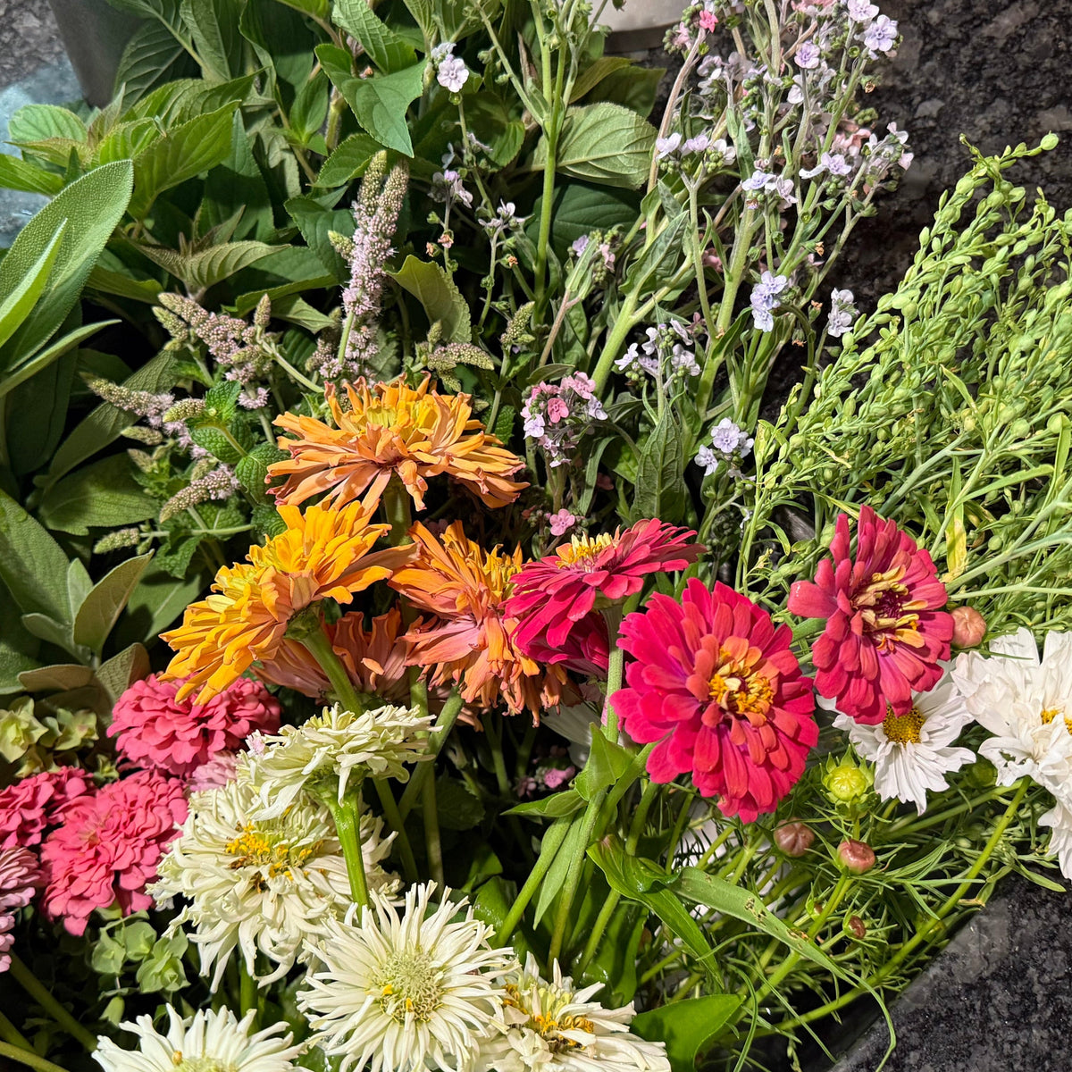 Collection of flowers