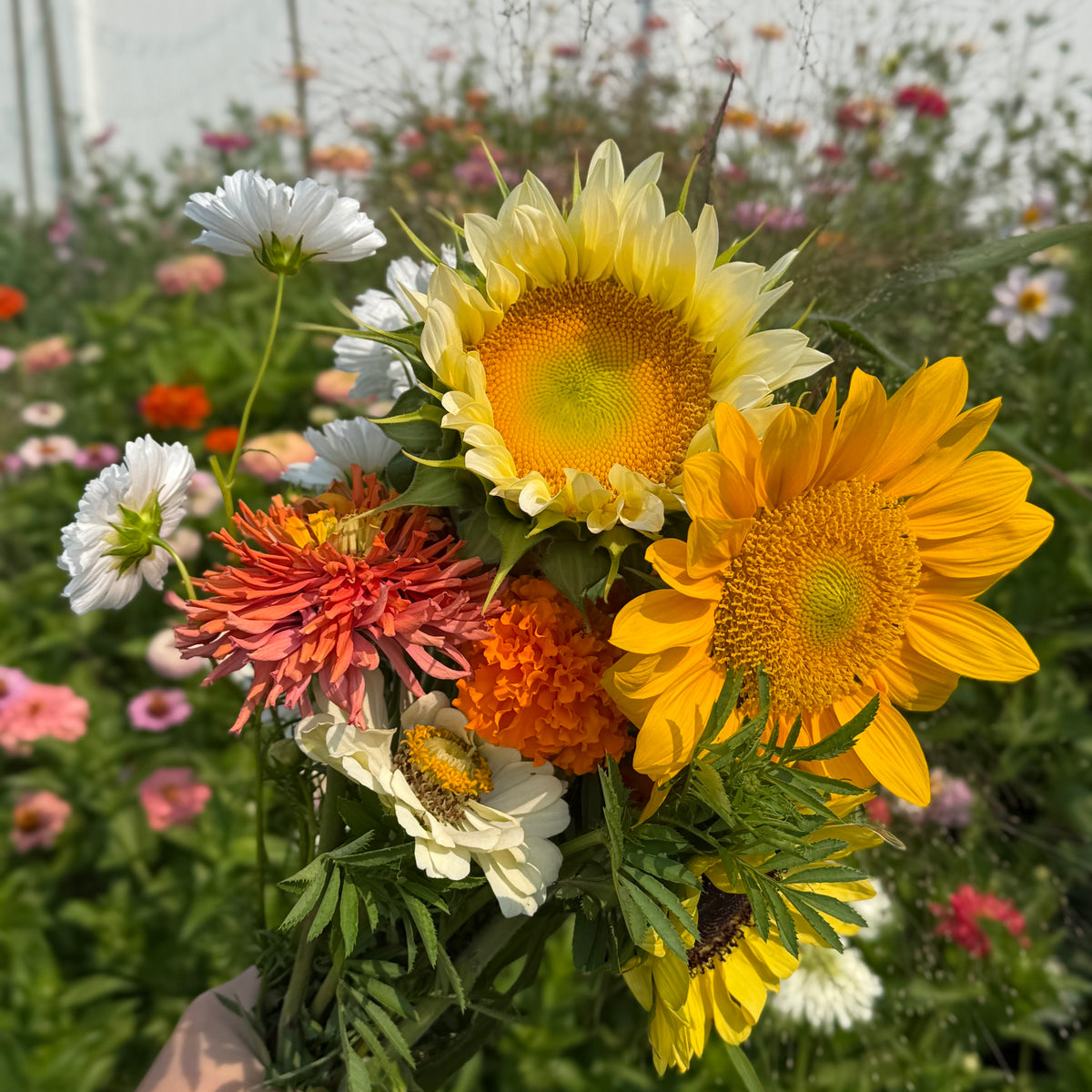 Pre-Made - Golden Hour Garden Bouquet