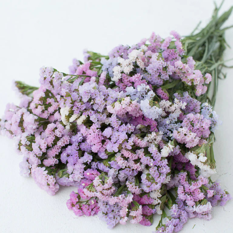 'Pastel' statice mix